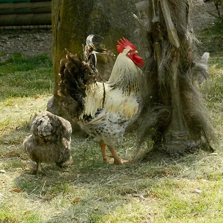 Al Torcol Agriturismo Casa di campagna *