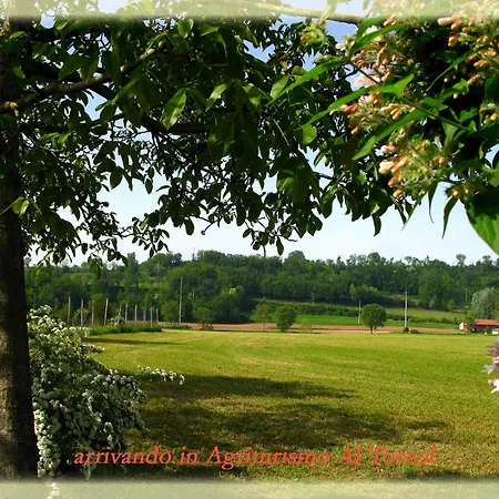 Casa di campagna Al Torcol Agriturismo Monzambano