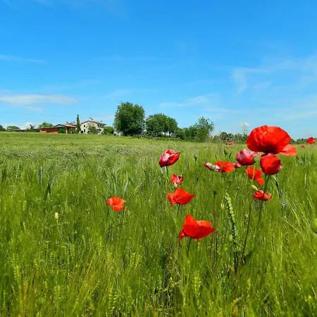 منزل ريفي Al Torcol Agriturismo